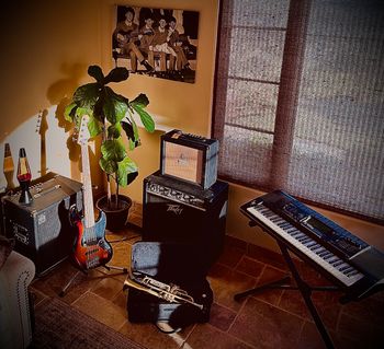 The Music room

