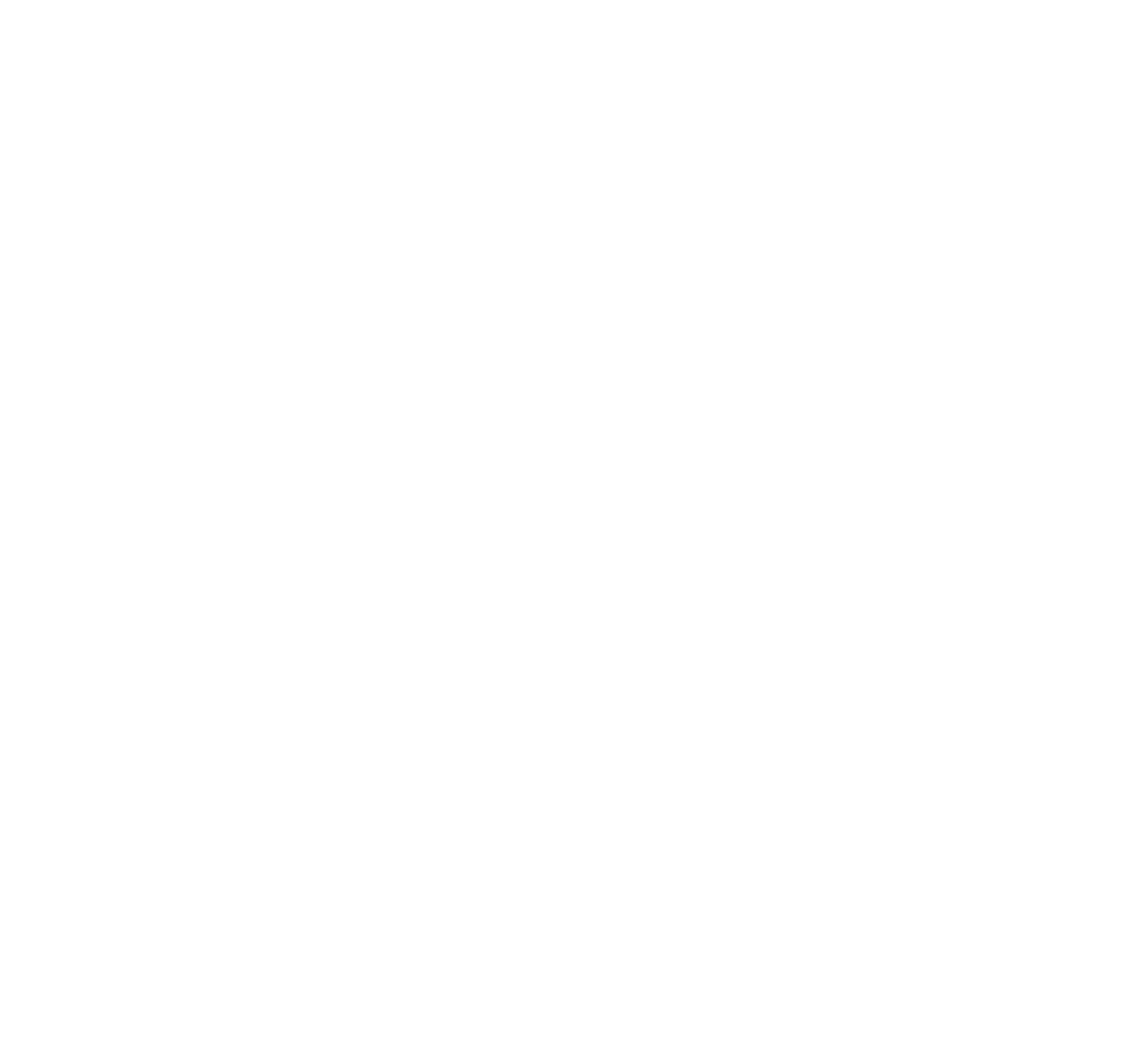 Tim Williams Band