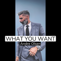 What You Want by Andre Olsen