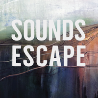The Stranger by Sounds Escape