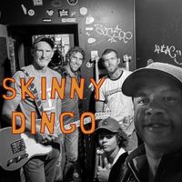 SKINNY DINGO by The Roadtrippers