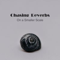 On a Smaller Scale by Chasing Reverbs