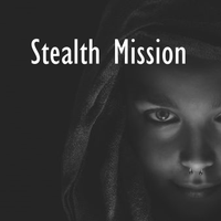 Stealth Mission by Shaun Friedman
