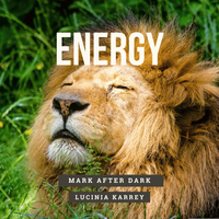 Energy by Mark After Dark, Lucinia Karrey