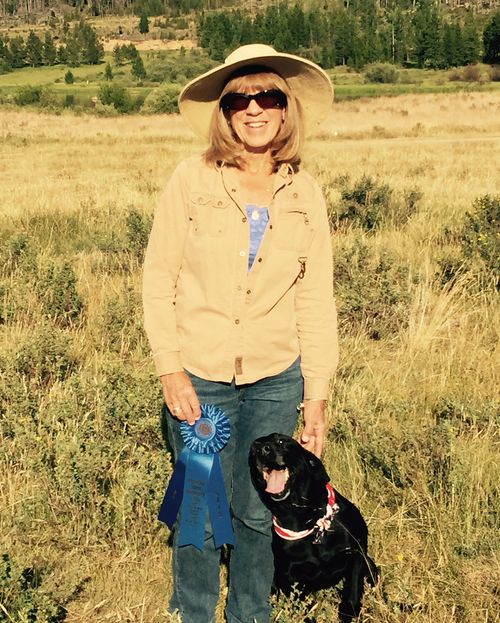 My happy Labrador Retriever at Treasure State Field Trial in Butte, MT