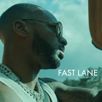 Fast Lane by Leeoh Litt