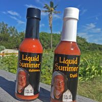 Two (2) bottles Liquid Summer Hot Sauce with FREE SHIPPING