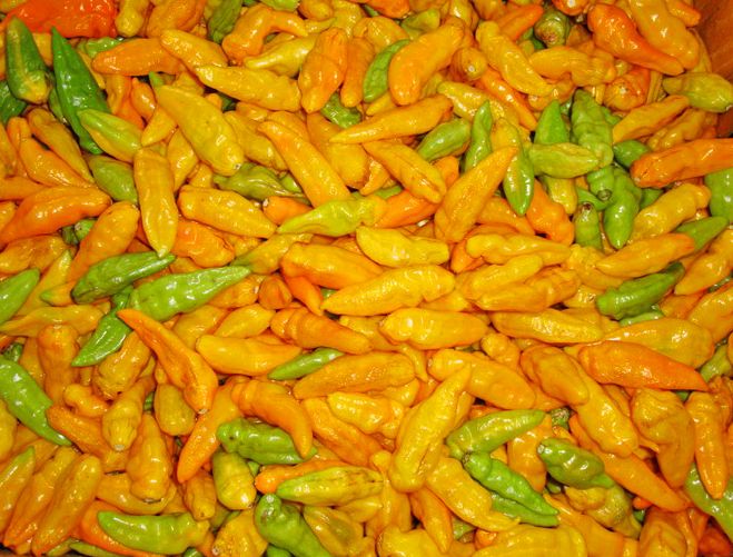 Sauce Boss Hot Sauce