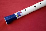 Takahe, Tuneable Big-Bore Low-C Penny Whistle, Handcrafted