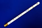 Bessie, a PVC Flute in A for Blues Players