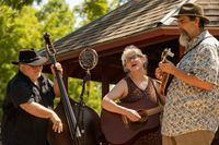 The Vines Bluegrass Festival