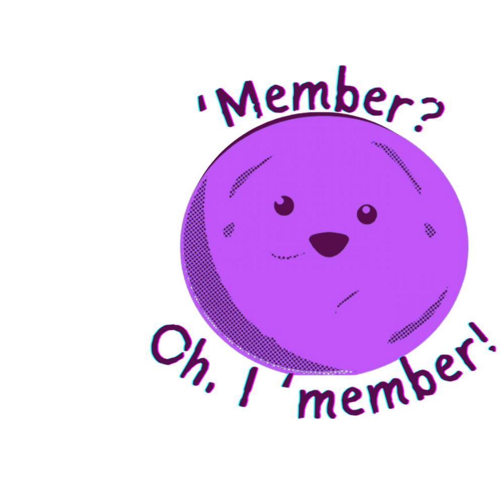 The Member Berries - Middle & East TN's Premier 80's & 90's Tribute Band