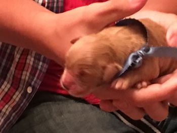 Nitro when she was just born
