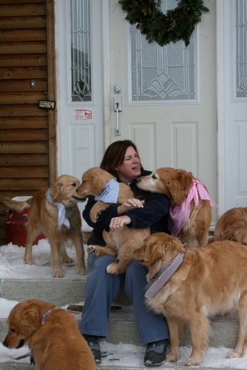 Journey as a puppy - on my lap
