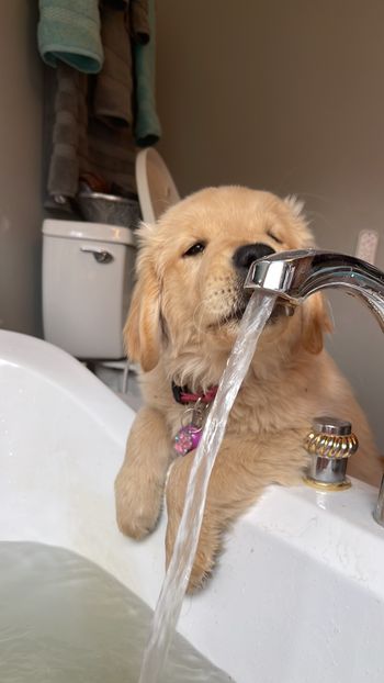 Checking out the tub faucet
