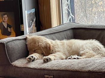 Nap
