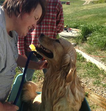 Getting all bathed up to go to the shows
