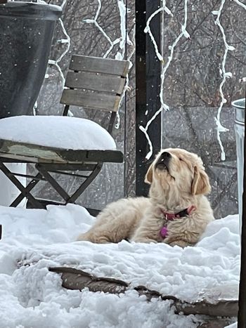 Loving the snow
