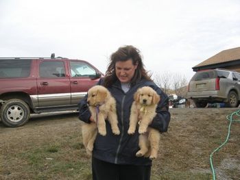 Armload of puppies
