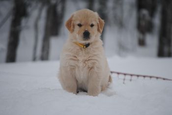 Posing
