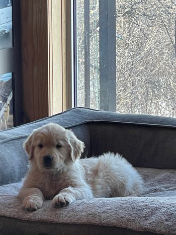 Loving the big bed
