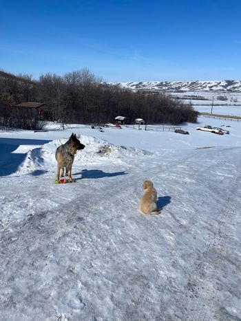 Learning tricks from Bentley
