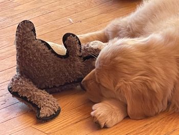 Toys galore
