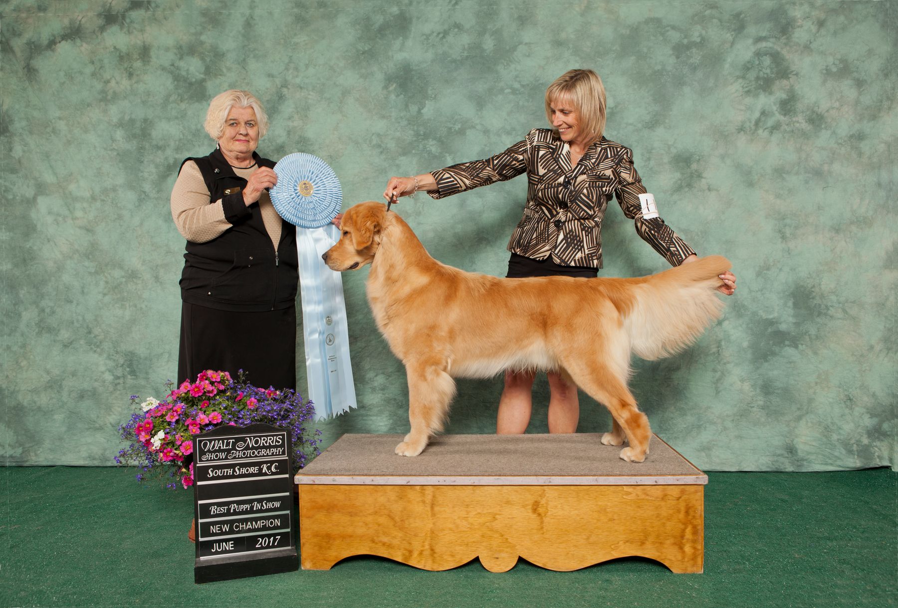 Dog sales show abbreviations