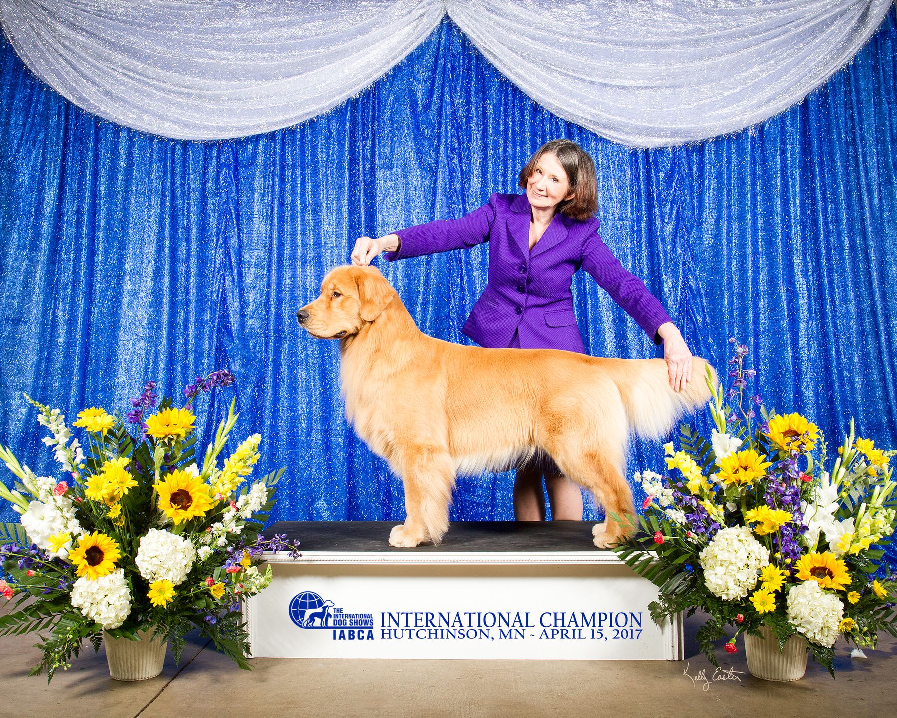 Dog sales show abbreviations