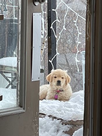 Snow day
