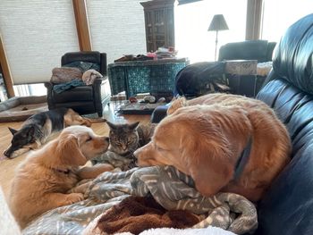 Trying to get Nitro to play
