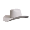 Yellowstone Silver Belly by Gone Country Hats