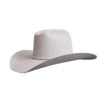 Yellowstone Silver Belly by Gone Country Hats
