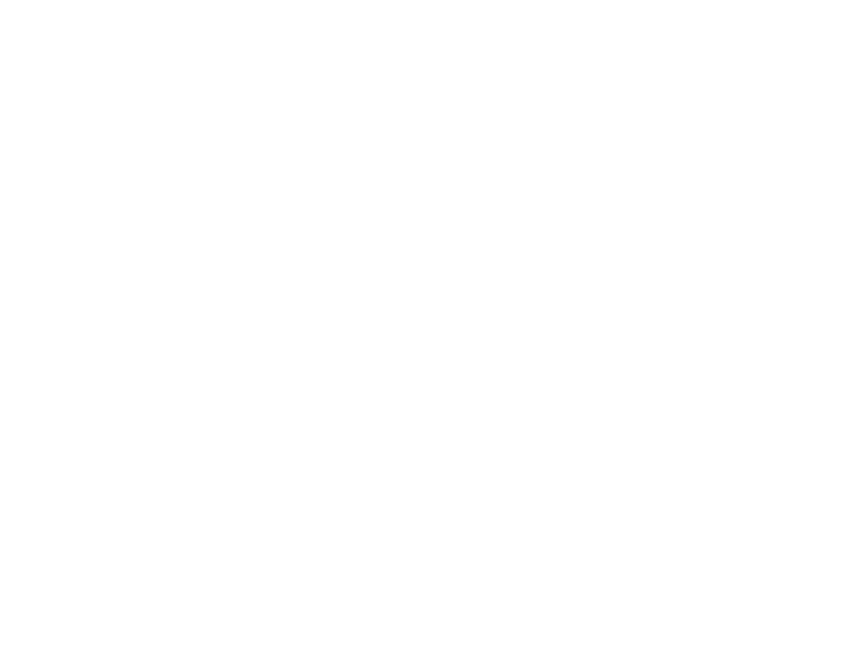 Steel  Sparrows