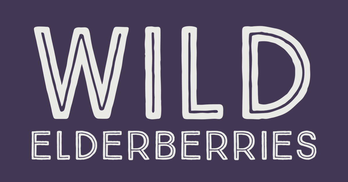 Wild Elderberries