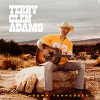 Touchdown Tennessee  by Terry Glen Adams