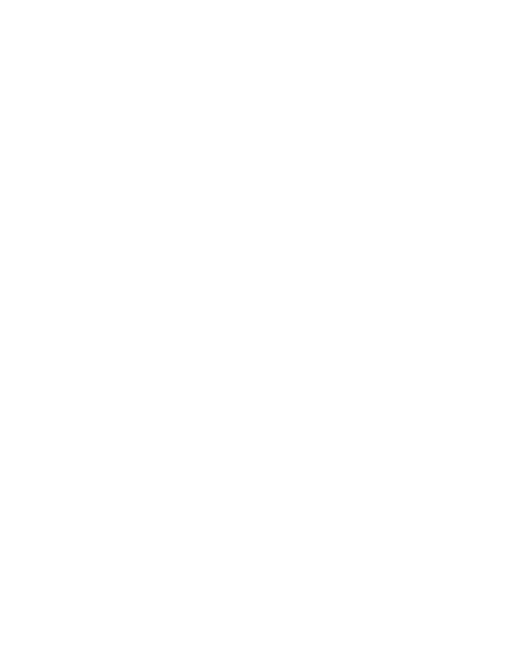 Ian Tonroy 