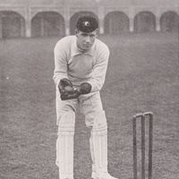 Edwardian cricket postcard - PM Newland (South Australia).