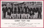 Cricket postcard - Surrey CCC 1960