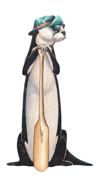 Cartoon seal holding a wooden paddle