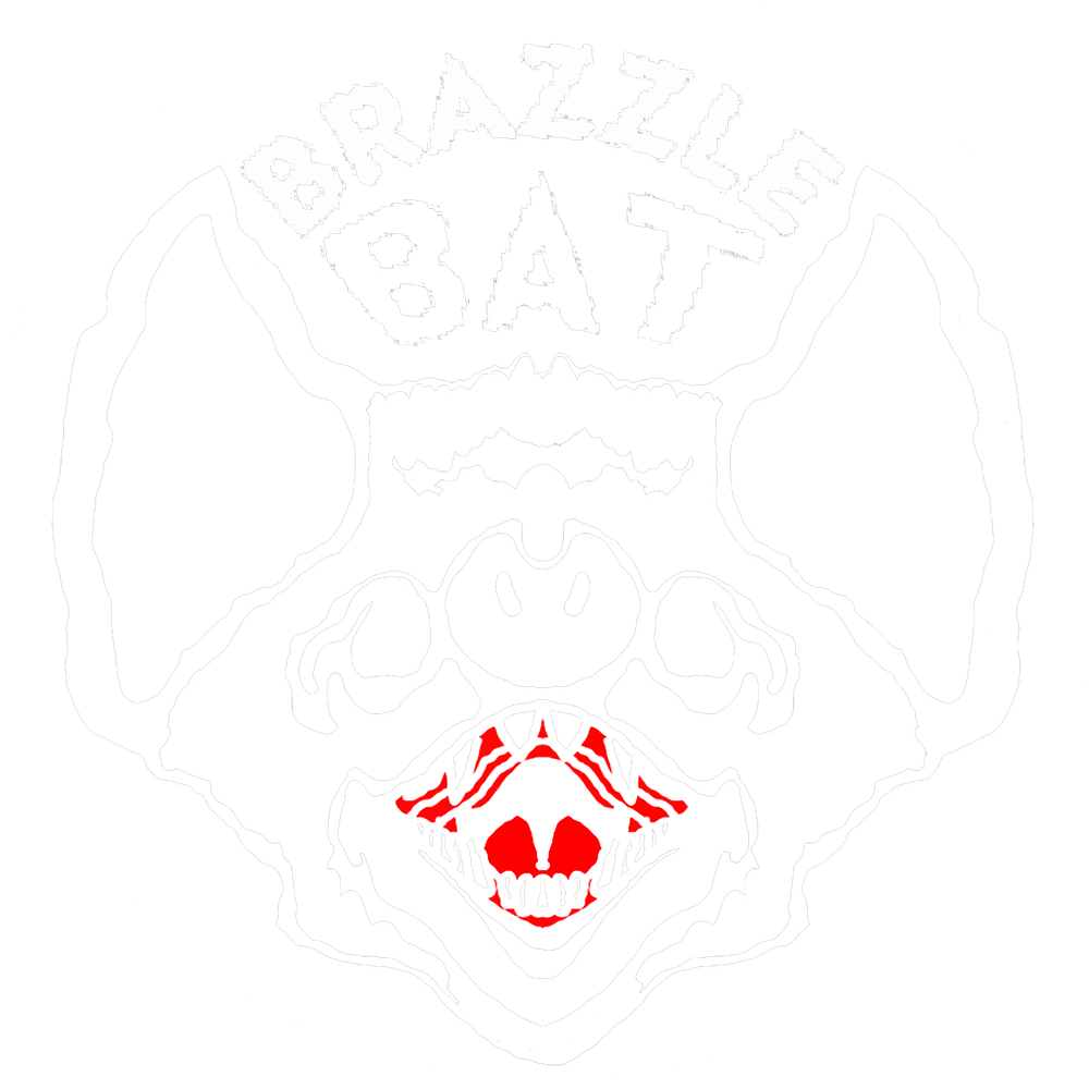 Brazzle bats a duo punk band from Colorado.