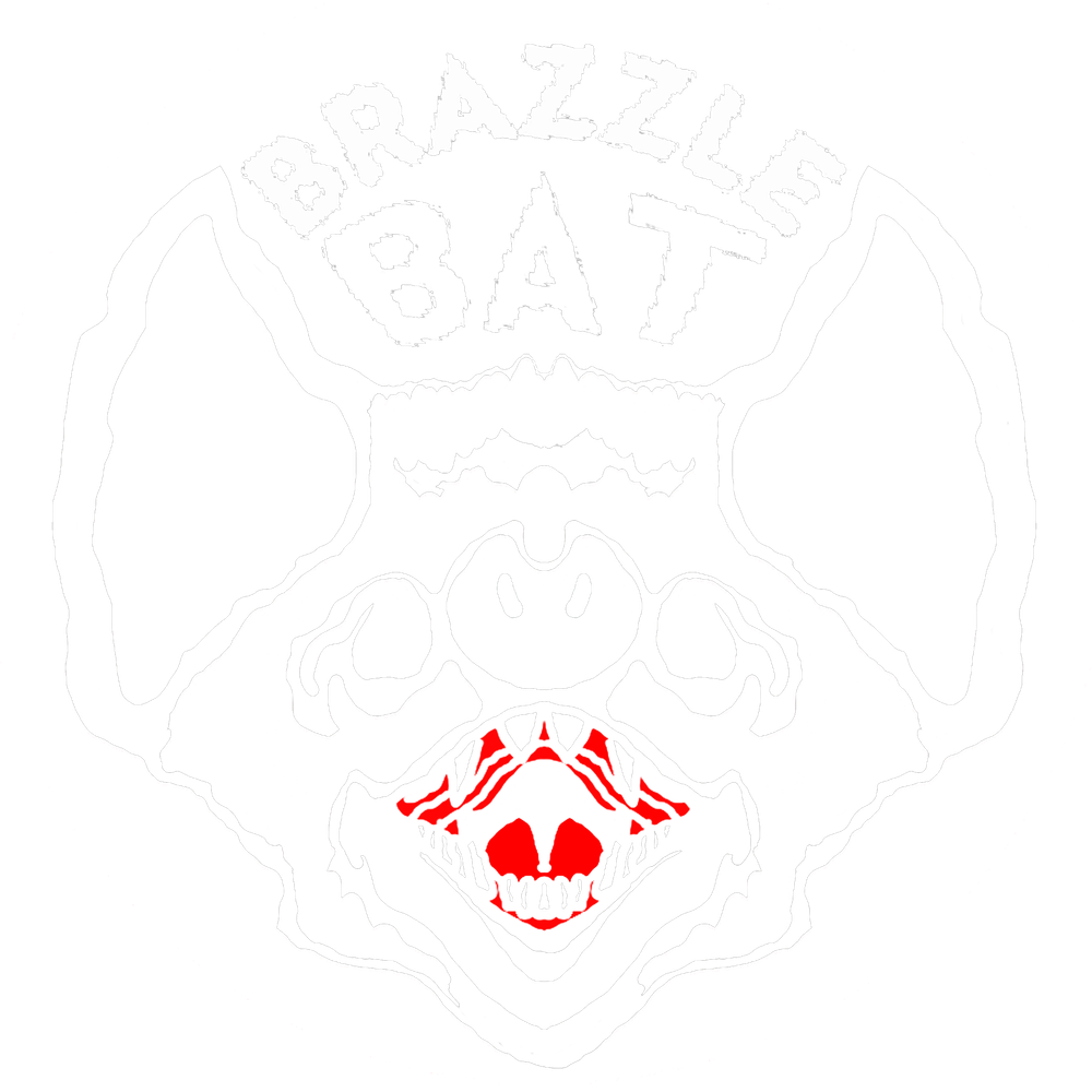 Brazzle Bat