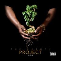 THE GROWTH PROJECT FREE MIX TAPE by R.O.B