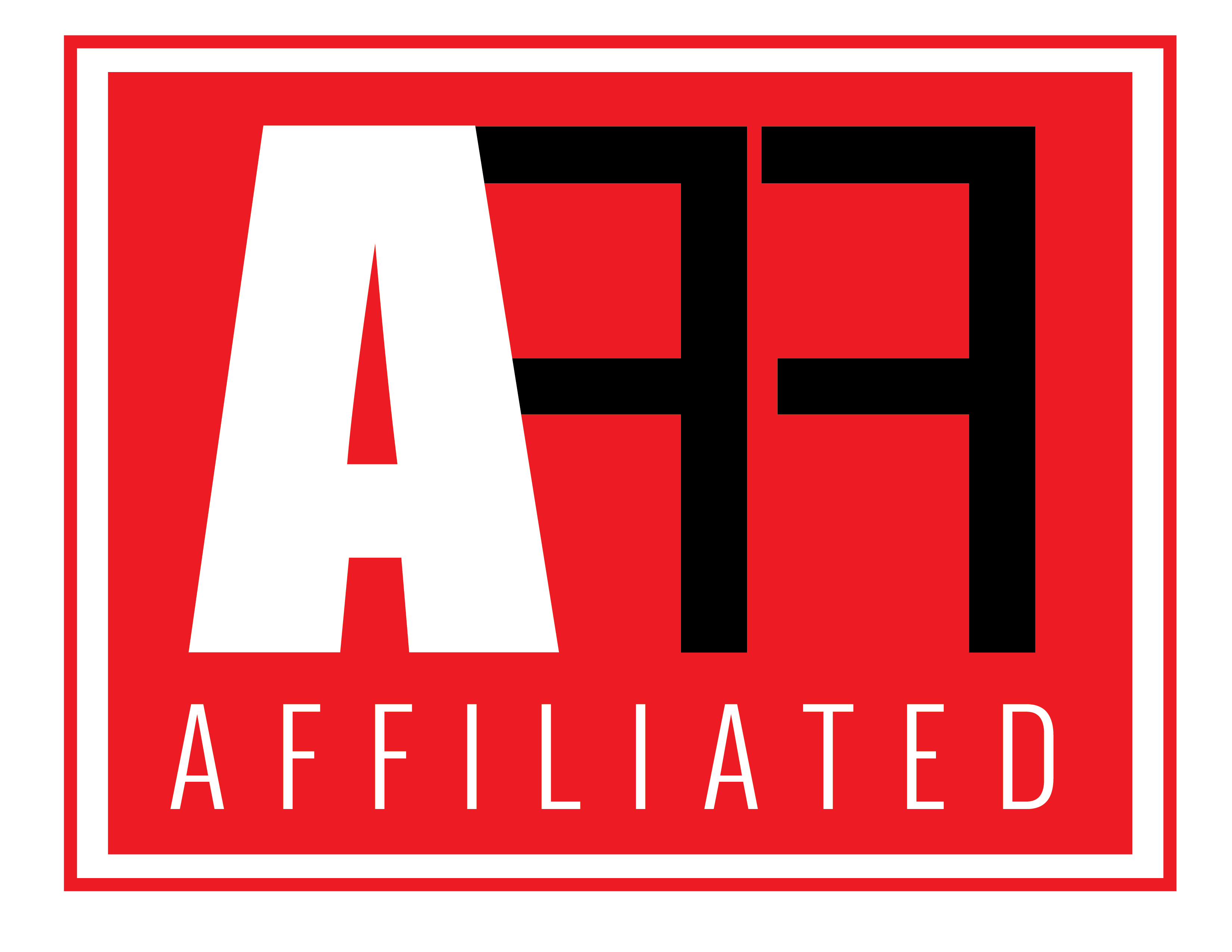 TEAMAFFILIATED.COM