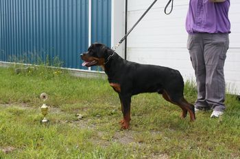 8 months old
