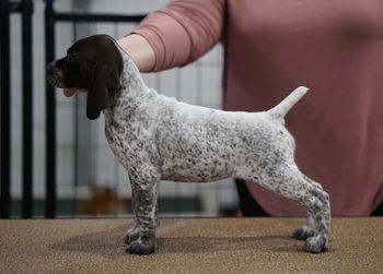 8 weeks old
