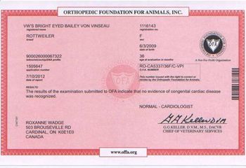 Cardiac Cert
