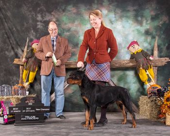 New Champion, Winners Female, Best of Opposites, Best of Winners. Handler Noreena Seery Oct 29, 2011
