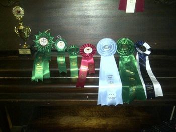 2013 accomplishements
