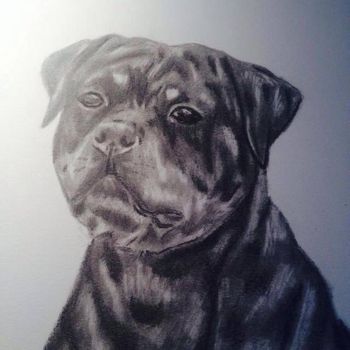 commissioned Art By Lisa Parsons
